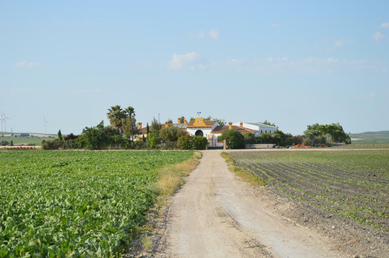 Cortijo Las Manoteras Ель-Пуерто-де-Санта-Марія Екстер'єр фото
